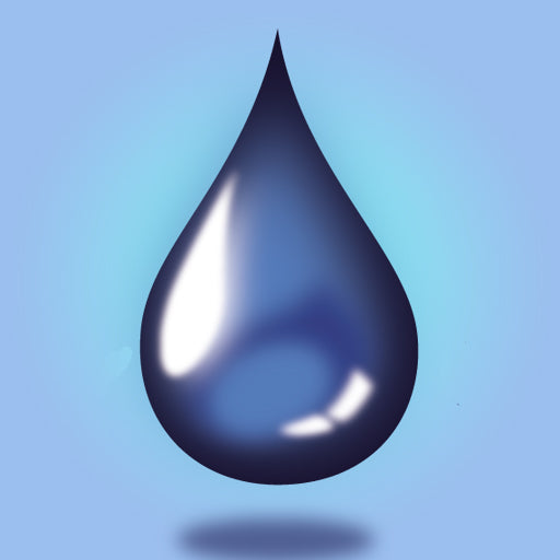 My Mikvah Calendar Annual Subscription