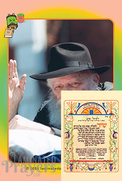 Shir Hamaalos Clip NEW (Rebbe)